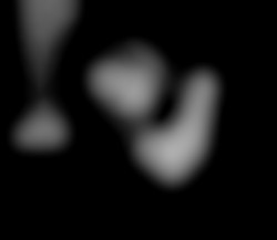 Member Image