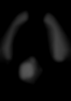 Member Image