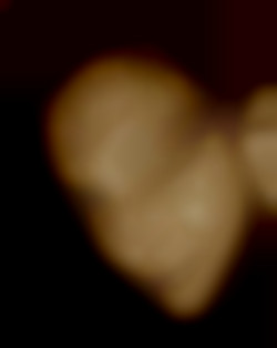 Member Image