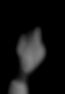 Member Image