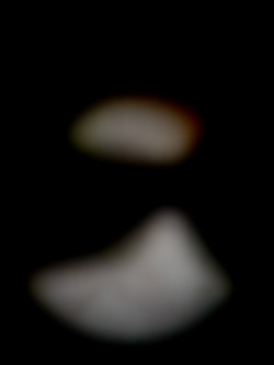 Member Image