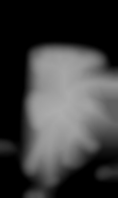 Member Image
