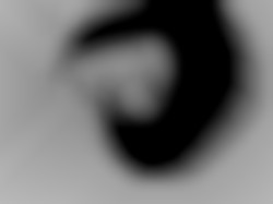 Member Image