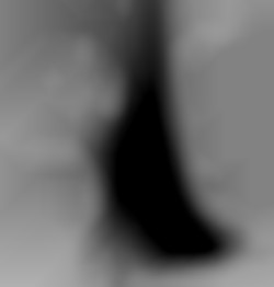 Member Image