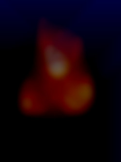 Member Image