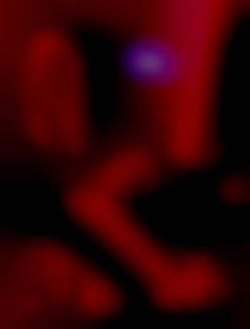 Member Image