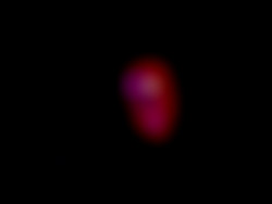 Member Image
