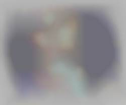 Member Image