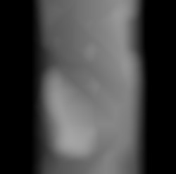 Member Image