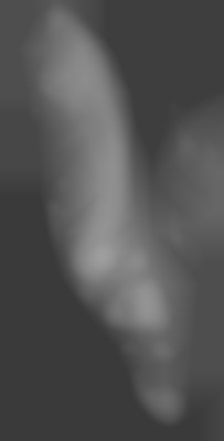 Member Image