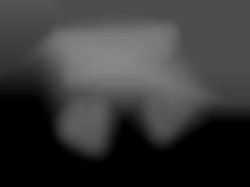 Member Image