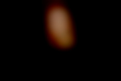 Member Image