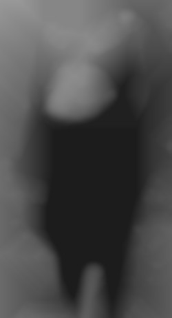 Member Image