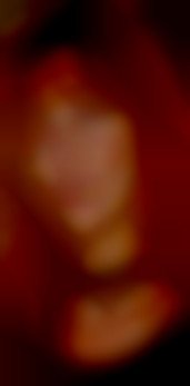 Member Image