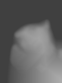 Member Image
