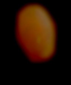 Member Image