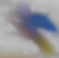 Member Image
