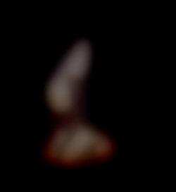 Member Image