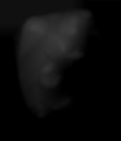 Member Image