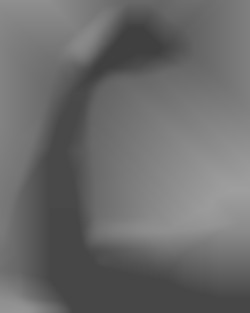 Member Image
