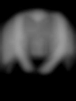 Member Image