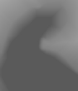 Member Image