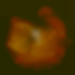 Member Image