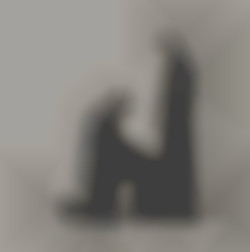 Member Image