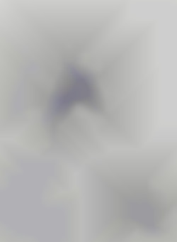Member Image