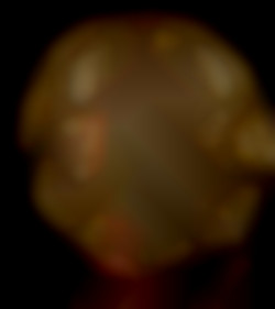 Member Image