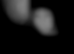 Member Image