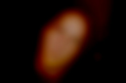 Member Image