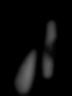 Member Image