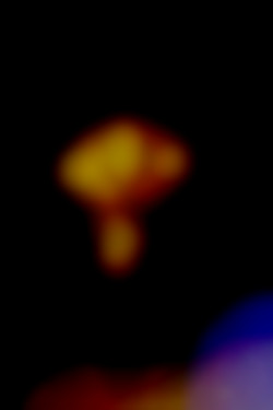 Member Image