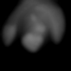 Member Image
