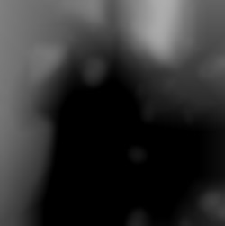 Member Image