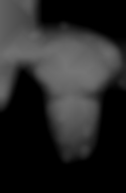 Member Image