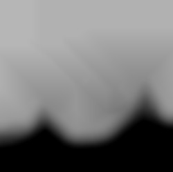 Member Image