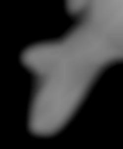 Member Image