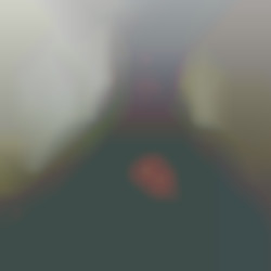 Member Image
