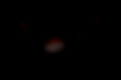 Member Image