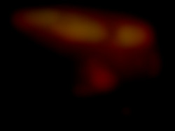 Member Image