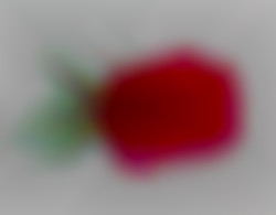 Member Image
