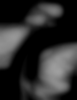 Member Image