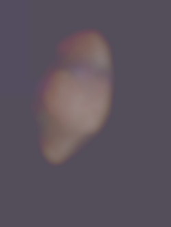 Member Image