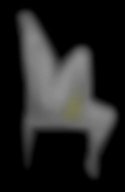 Member Image