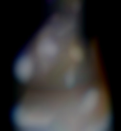 Member Image