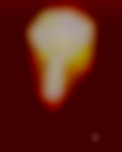Member Image