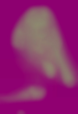 Member Image