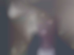 Member Image
